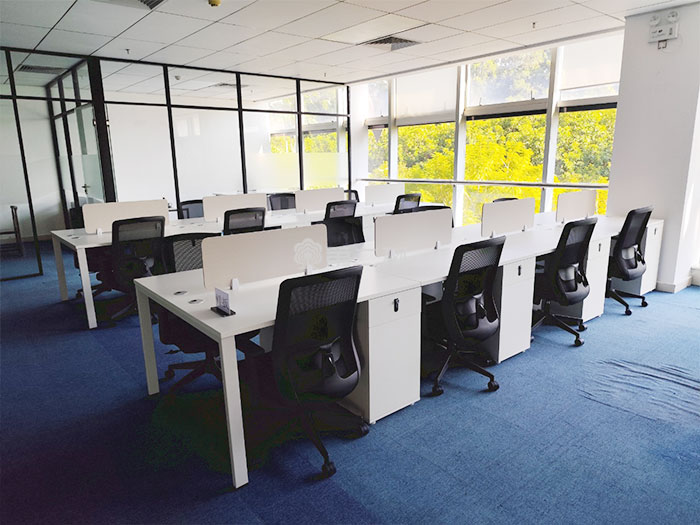 案例分享｜第二树助力广州某国有智慧服务公司打造“即租即用”绿色办公空间