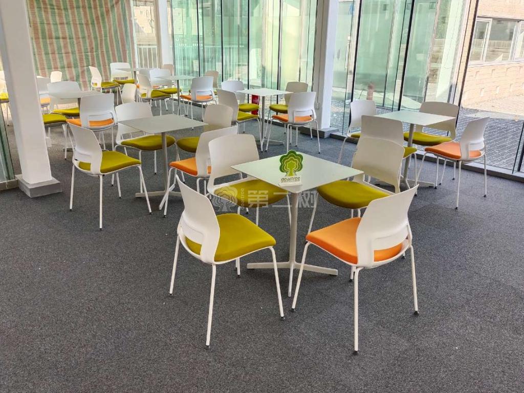 全新英路华Enova 会议椅四脚椅培训会客椅餐椅现代简约职员椅