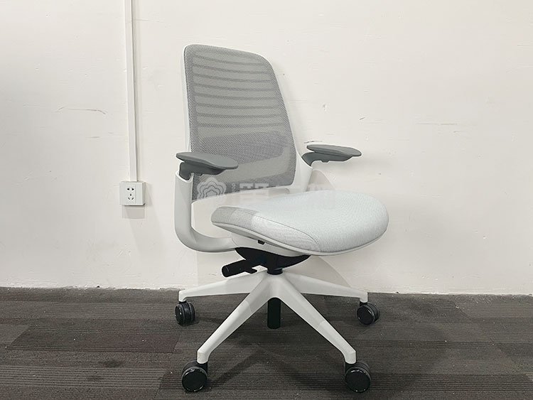世楷二手Series 1系列二手人体工学椅办公椅电脑椅职员座椅
